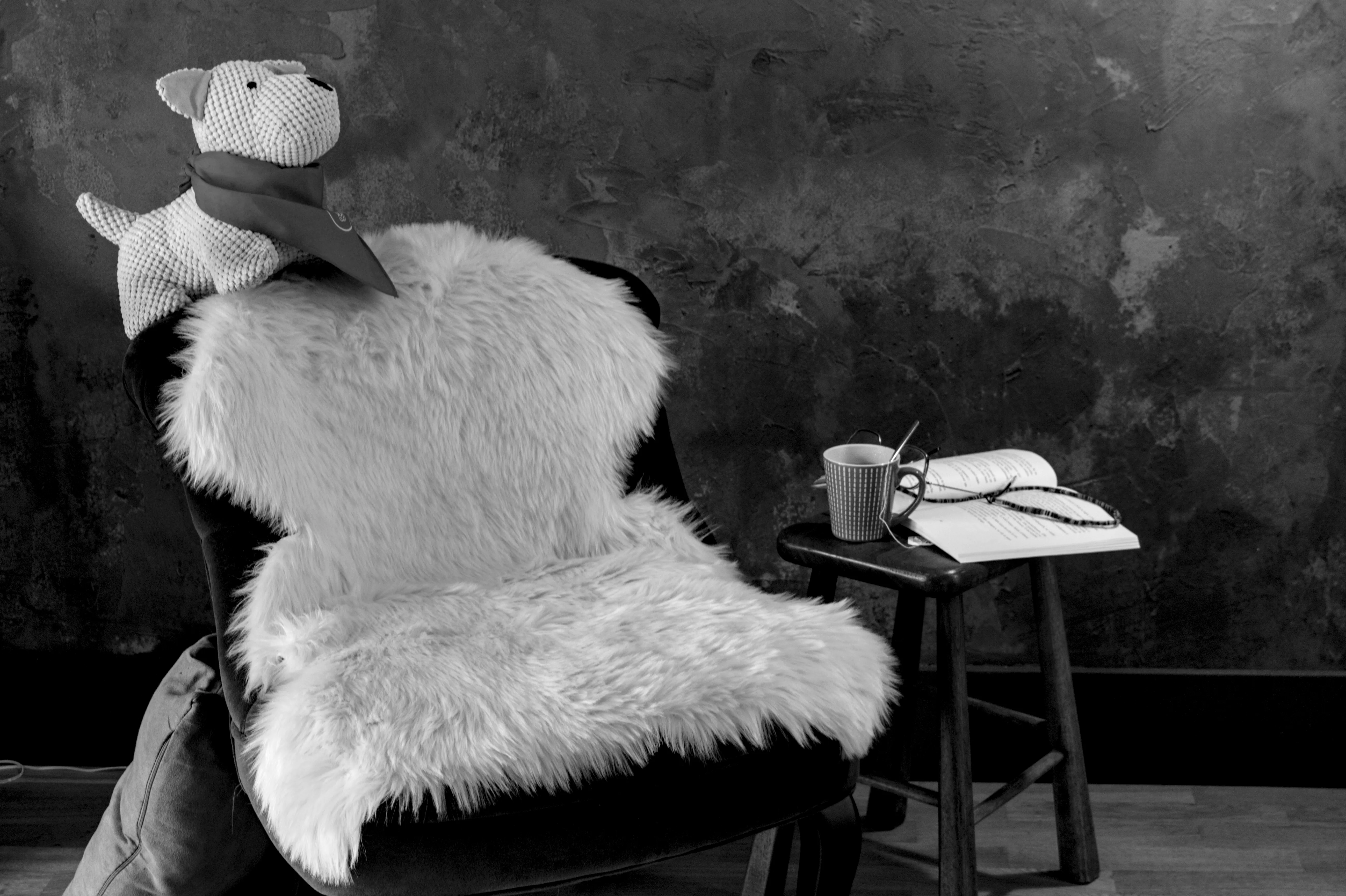 Peluche sur un fauteuil